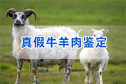 抚州羊类动物鉴定